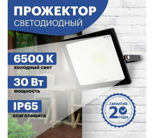 REXANT (605-003) 30 Вт 200-260В IP65 2400 лм 6500 K холодный свет