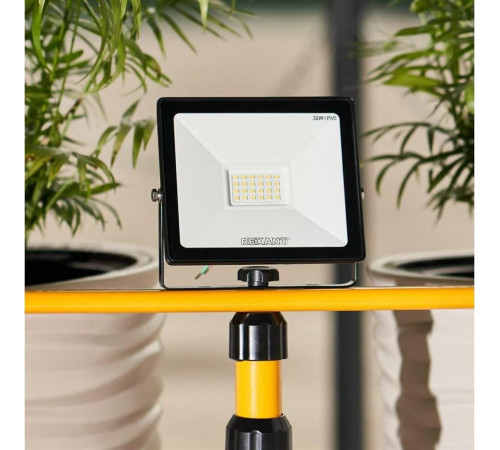 REXANT (605-003) 30 Вт 200-260В IP65 2400 лм 6500 K холодный свет