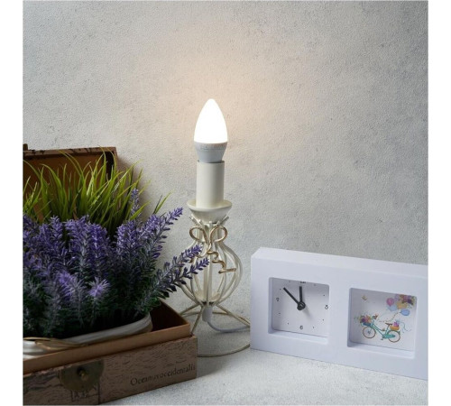 REXANT (604-023) (CN) 9,5 ВТ E14 903 ЛМ 2700 K