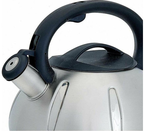 WEBBER BE-0569/1 Чайник со свистком 3л