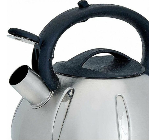 WEBBER BE-0569/1 Чайник со свистком 3л