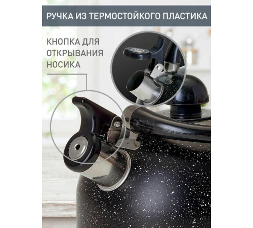 WEBBER BE-0539 2,5л черный