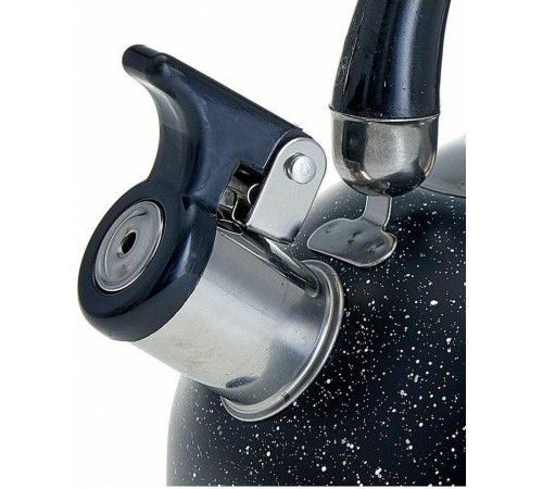 WEBBER BE-0539 2,5л черный