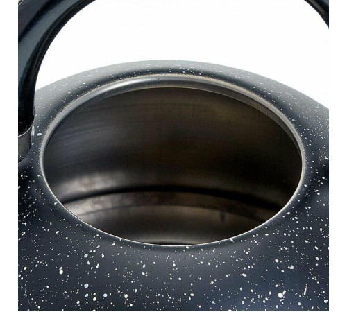 WEBBER BE-0539 2,5л черный