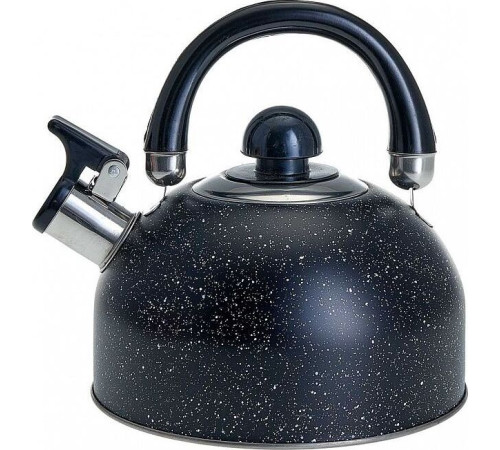 WEBBER BE-0539 2,5л черный