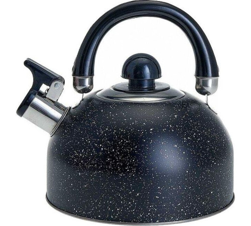 WEBBER BE-0539 2,5л черный