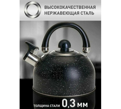 WEBBER BE-0539 2,5л черный