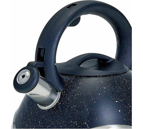 WEBBER BE-0574 3л черный