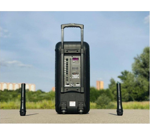 ELTRONIC (20-05) DANCE BOX 500 - колонка 12