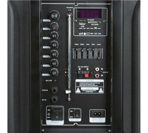 ELTRONIC (20-05) DANCE BOX 500 - колонка 12