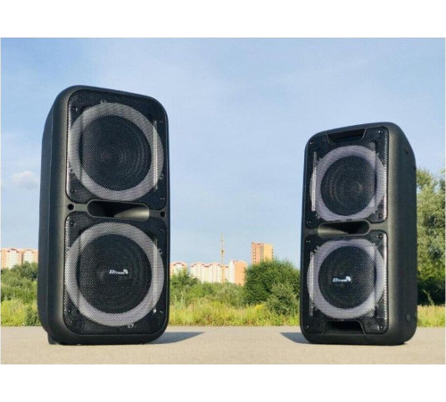 ELTRONIC (20-05) DANCE BOX 500 - колонка 12