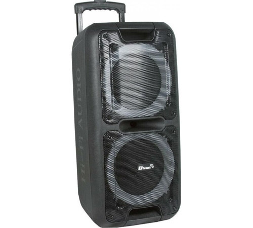 ELTRONIC (20-05) DANCE BOX 500 - колонка 12