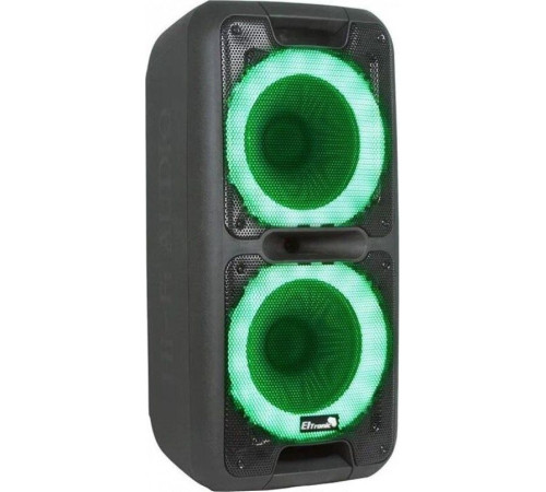 ELTRONIC (20-14) DANCE BOX 300 - колонка 10