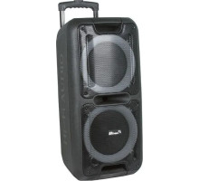 ELTRONIC (20-14) DANCE BOX 300 - колонка 10