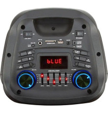 ELTRONIC (20-58) DANCE BOX 500 - колонка 08