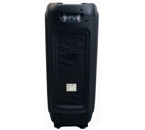 ELTRONIC (20-58) DANCE BOX 500 - колонка 08