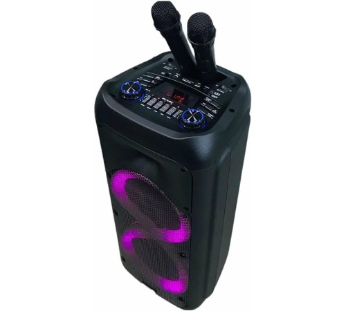 ELTRONIC (20-58) DANCE BOX 500 - колонка 08