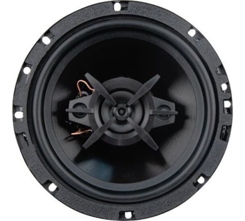 ACV PG-623S*16.5см/2-х полосная/60Вт/Полипропилен