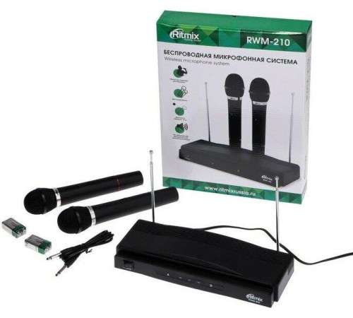 RITMIX RWM-210