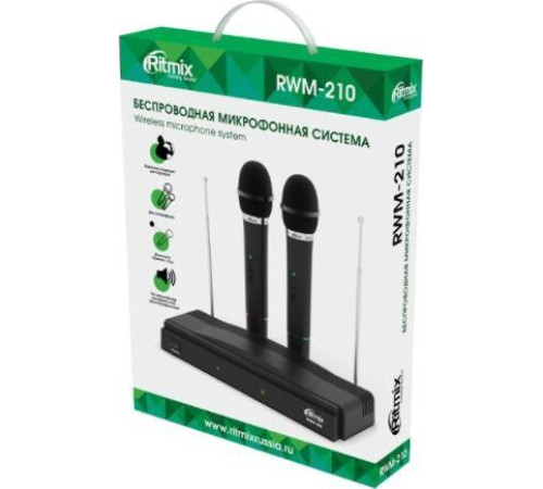 RITMIX RWM-210
