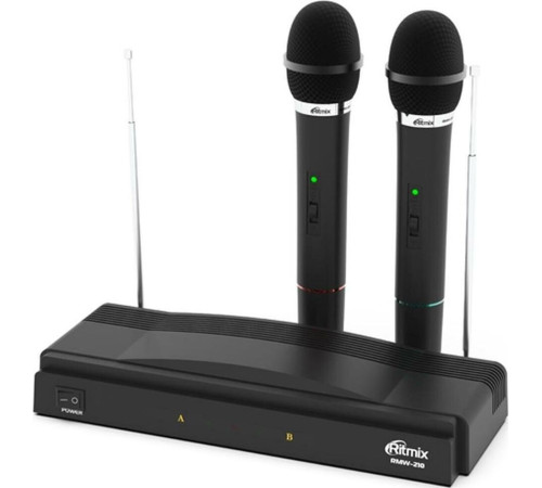 RITMIX RWM-210