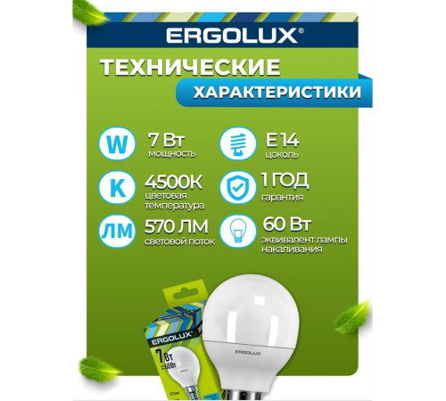 ERGOLUX (12144) LED-G45-7W-E14-4K