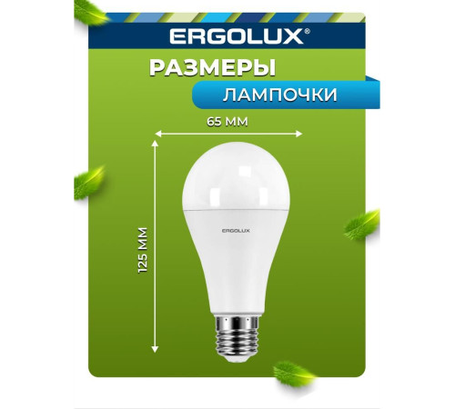 ERGOLUX (13182) LED-A65-20W-E27-3K