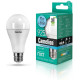 CAMELION (12036) LED11-A60/845/E27/4500К