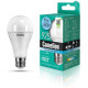 CAMELION (12036) LED11-A60/845/E27/4500К