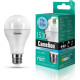CAMELION (12309) LED17-A65/845/E27