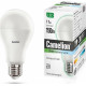 CAMELION (12309) LED17-A65/845/E27
