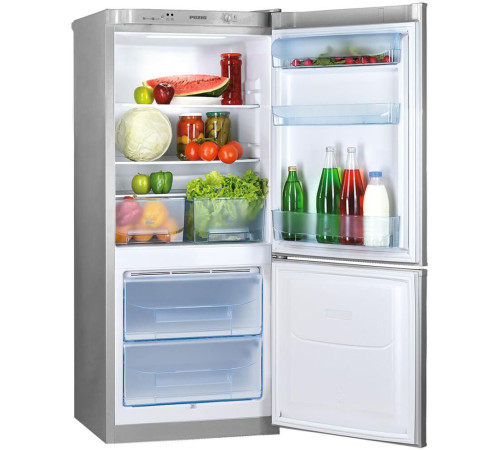 POZIS RK-101 250л серебристый металлопласт