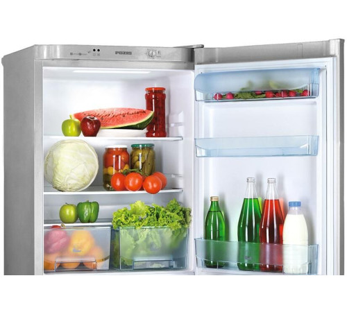 POZIS RK-101 250л серебристый металлопласт