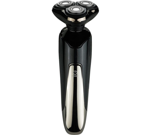 БЕРДСК 3365АС