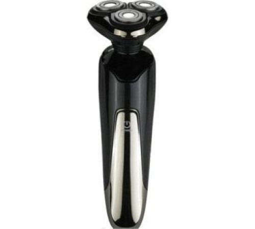 БЕРДСК 3365АС