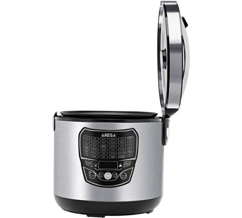 ARESA AR-2010 5л. серебристый