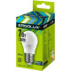 ERGOLUX (12877) LED-G45-7W-E27-6K
