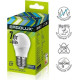 ERGOLUX (12877) LED-G45-7W-E27-6K