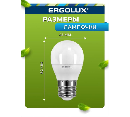 ERGOLUX (12877) LED-G45-7W-E27-6K