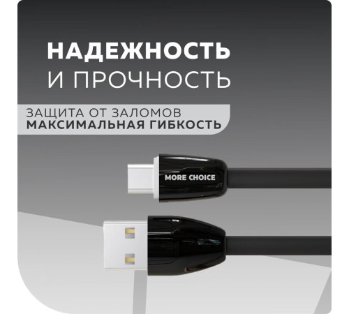 MORE CHOICE (4627151191379) AC22m 2USB 2.4A для micro USB Black