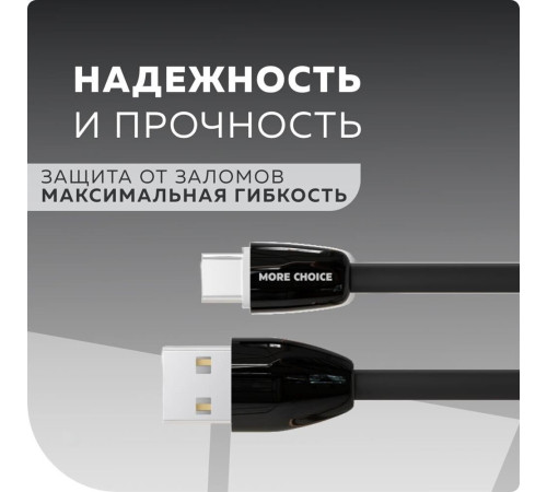 MORE CHOICE (4627151191416) AC22a 2USB 2.4A для Type-C Black