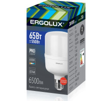 ERGOLUX (14332) LED-HW-90W-E40-6K серия PRO