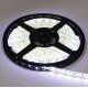 ECOLA P5LD14ESB LED strip PRO 14.4W/12V/60Led/6000K 10mm 5м