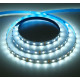 ECOLA S2LD14ESB LED strip STD 14.4W/m 12V IP20 10mm 60Led/m 6000K 5м