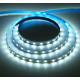ECOLA S2LD14ESB LED strip STD 14.4W/m 12V IP20 10mm 60Led/m 6000K 5м
