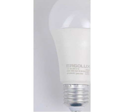 ERGOLUX (14228) LED-A65-25W-E27-6K
