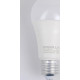 ERGOLUX (14228) LED-A65-25W-E27-6K