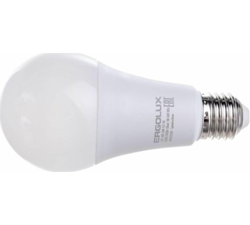 ERGOLUX (14228) LED-A65-25W-E27-6K