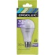 ERGOLUX (14228) LED-A65-25W-E27-6K