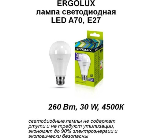 ERGOLUX (14228) LED-A65-25W-E27-6K
